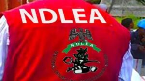 Ndlea recruitment